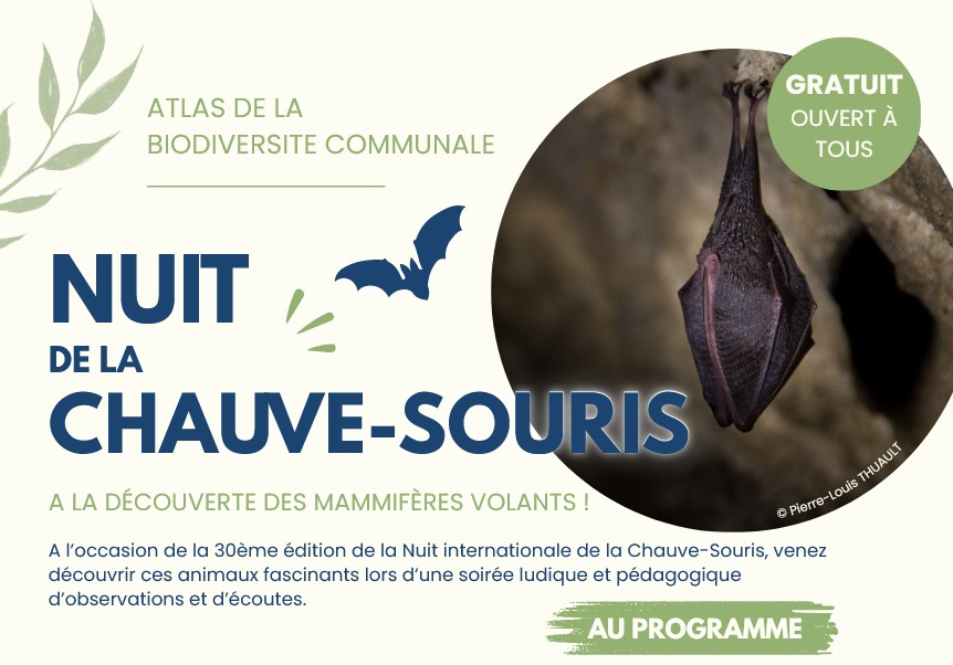 Nuit de la chauve-souris Saint-Raphaël
