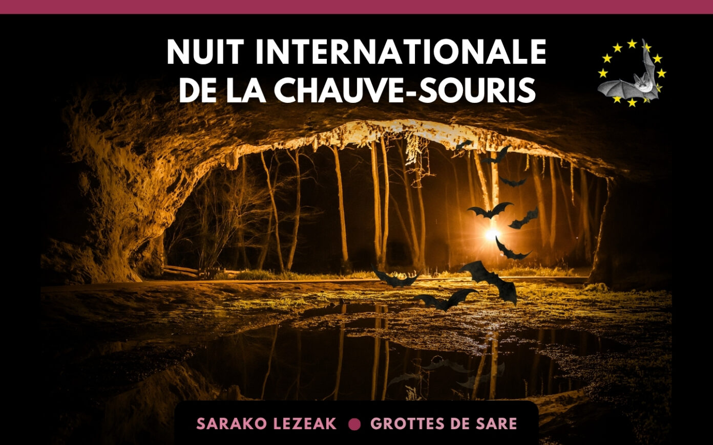 Nuit internationale de la chauve-souris 2026 Lezea Grottes Préhistoriques Sare