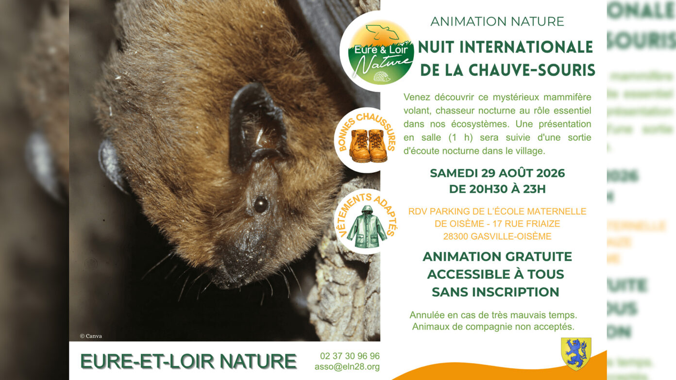 Nuit internationale de la chauve-souris Gasville-Oisème