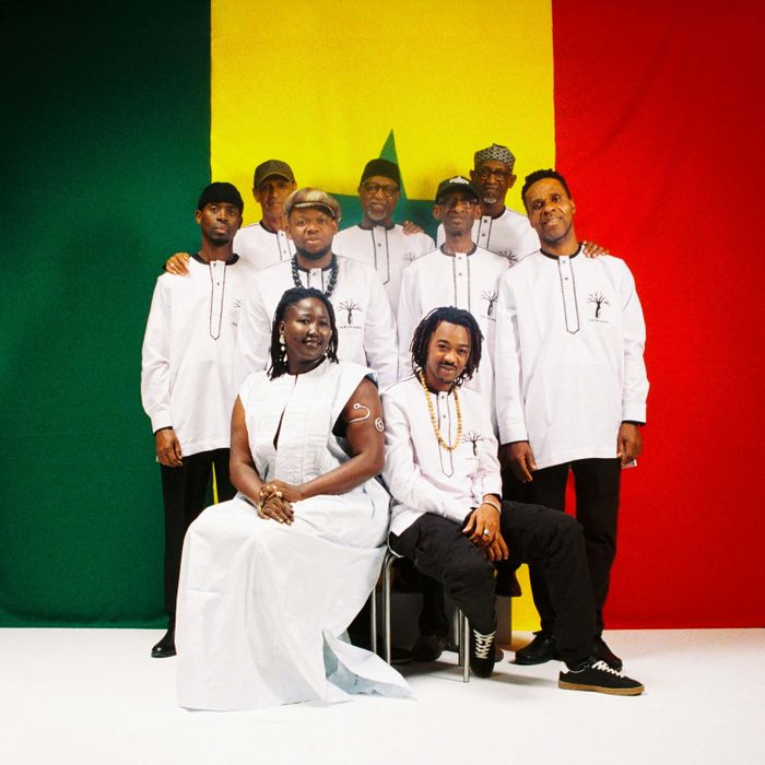 ORCHESTRA BAOBAB, La Merise, Trappes