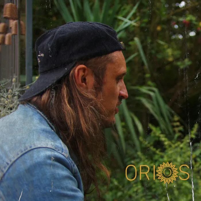 Orios, Médiathèque Ducarin, Comines
