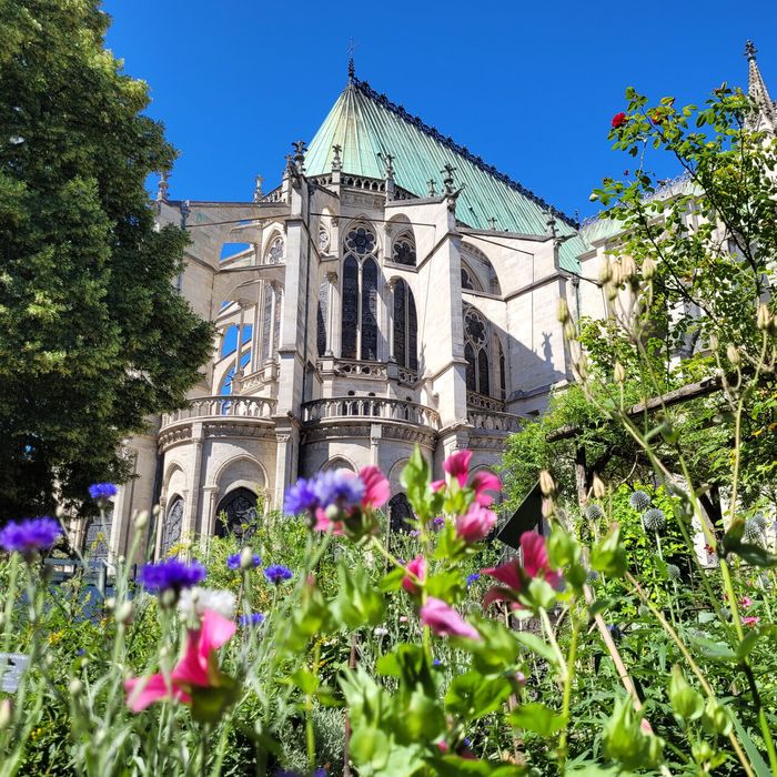 Ouverture exceptionnelle du jardin médiéval, Basilique Saint-Denis, Saint-Denis