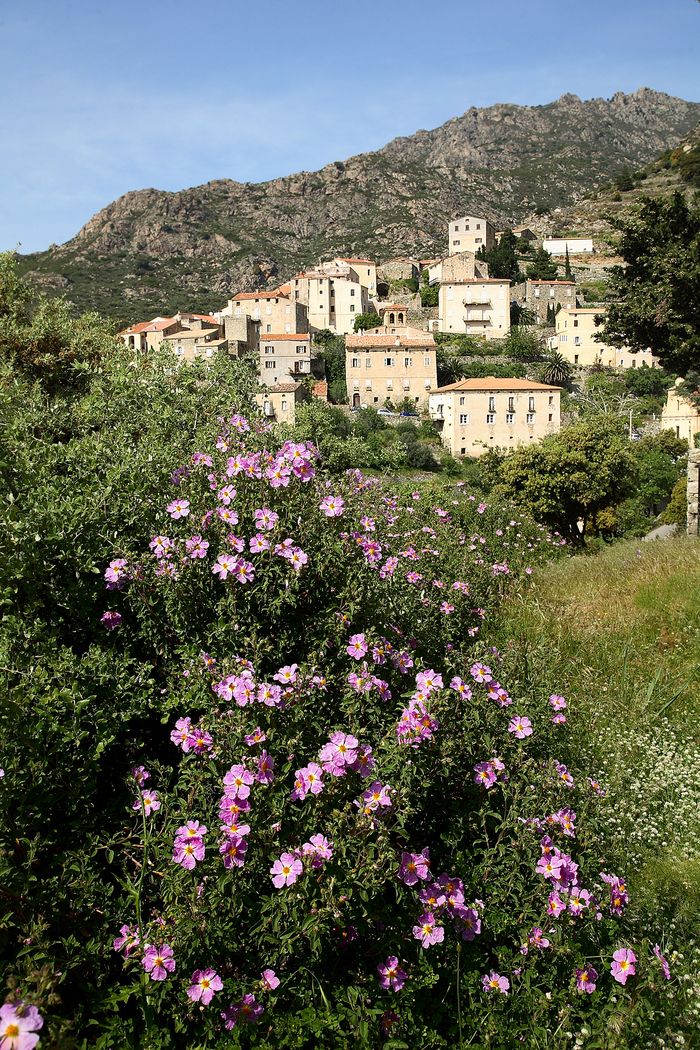 Parcours dans le village « Da una casa all’altra, sur le chemin de l’histoire », Village de Lama, Lama