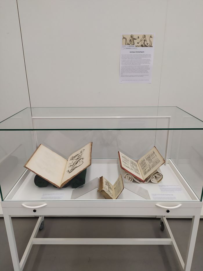 Patrimoine et numérisation : à la découverte de Numistral, Studium, Strasbourg