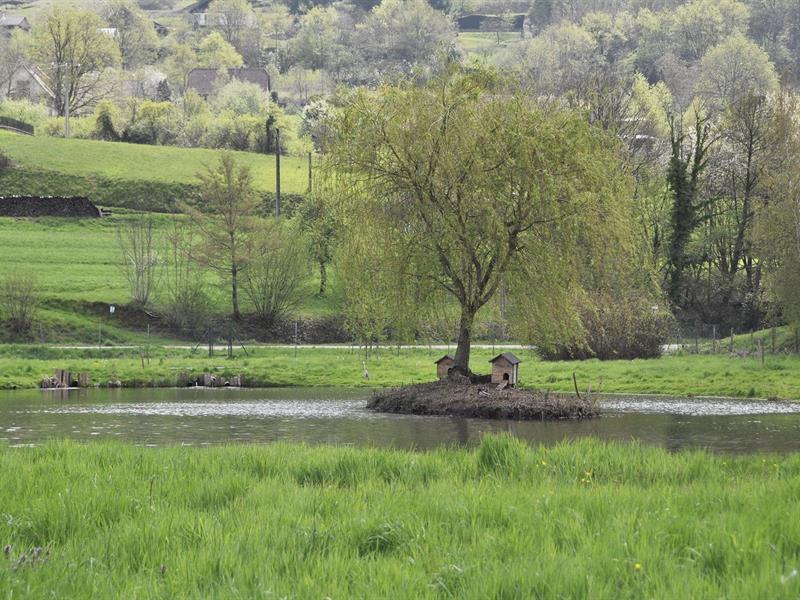 Pêche et détente Fouchy