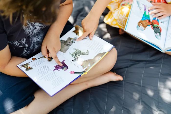 Petites Oreilles au Soleil (2-4 ans) Bibliothèque municipale de Hantay Hantay