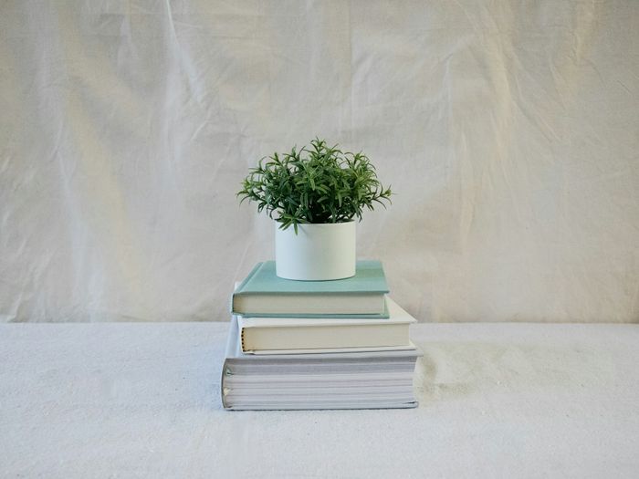 Photographie : Un livre, une plante, Bibliothèque Roseraie, Toulouse