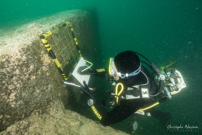 Plongée sous-marine sur les blockhaus engloutis du Bassin d’Arcachon, Parc de la Chêneraie, Gujan-Mestras
