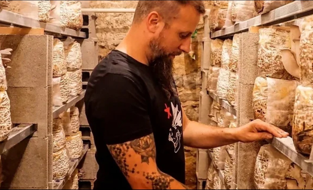 Plongez dans la culture des champignons avec Florian Aqua ça pousse Nans-sous-Sainte-Anne