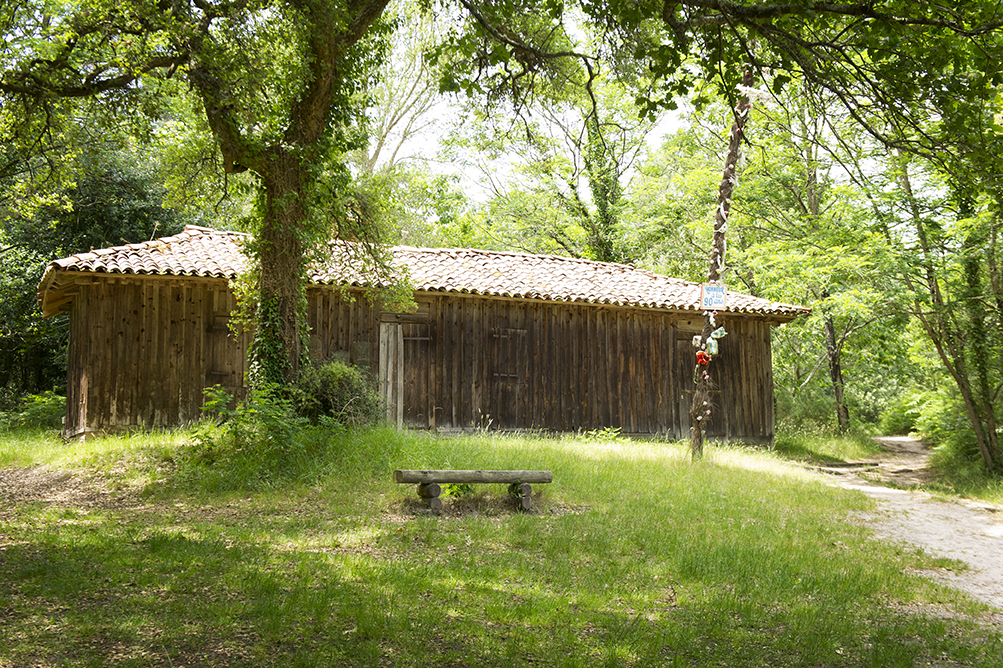 Portes ouvertes à la cabane de la Nasse Route de la Nasse Léon