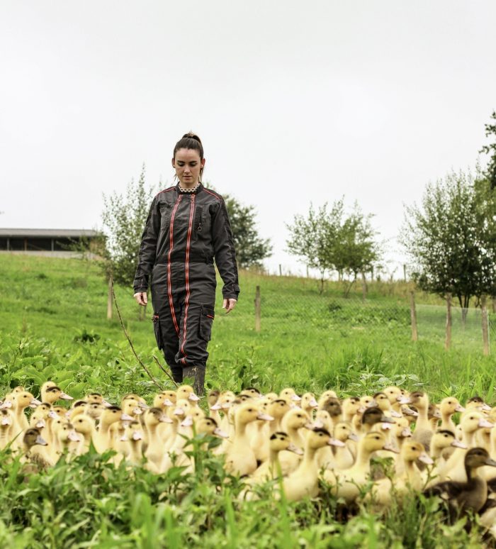 Portes ouvertes à la découverte des producteurs de Foie gras à Mauries Route du Bas Mauries