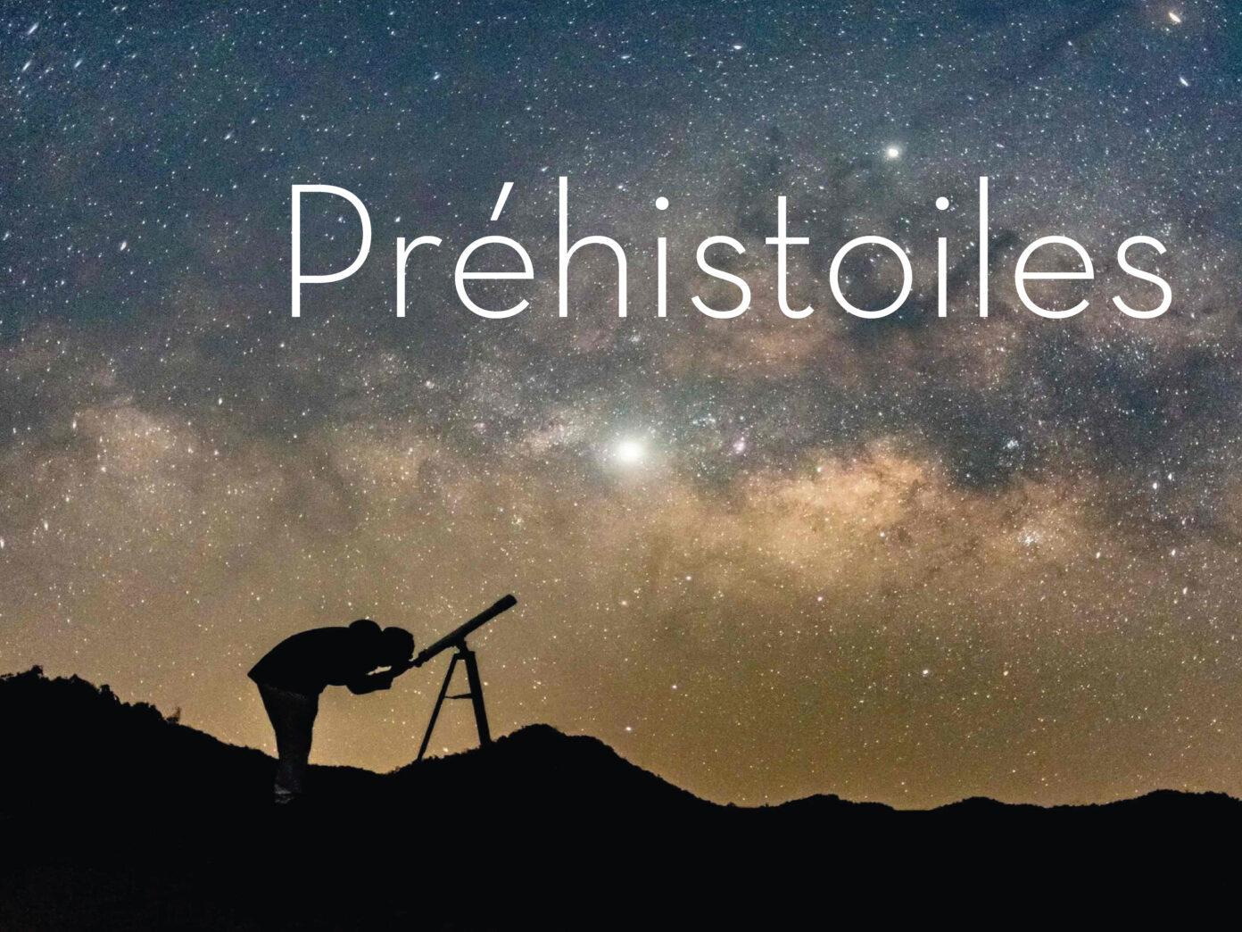 Préhistoiles Brassempouy