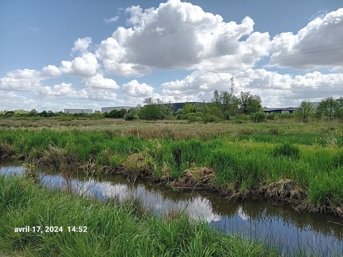 Préservons la biodiversité : du Parc Floral à la Réserve Ecologique des Barails, Bordeaux – Lieu de départ communiqué par l’association à l’inscription, Bordeaux