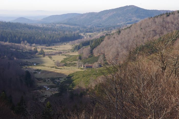 Randonnée sur l’Aigoual : « Patrimoine en péril : raviver, résister, réimaginer », L’Espérou, L’Espérou
