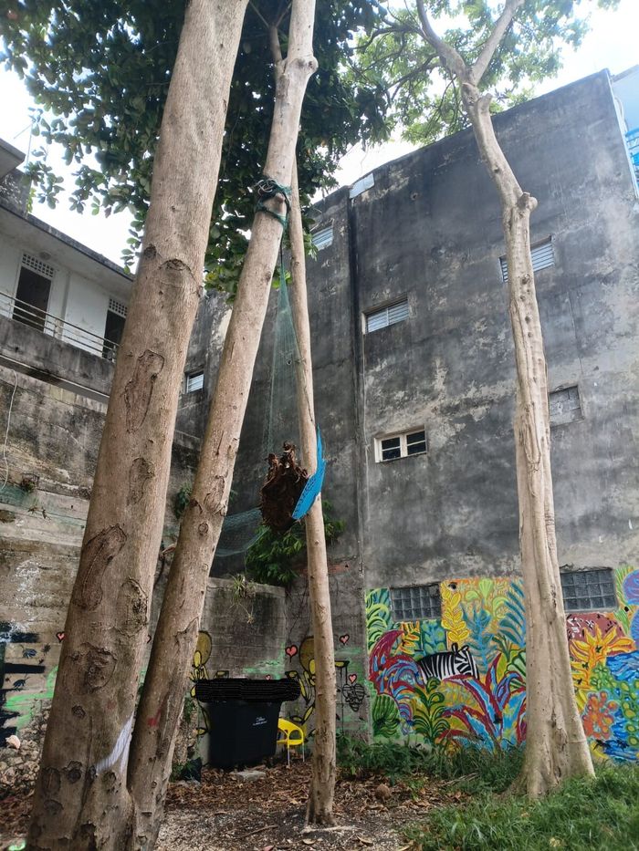 Réinventer les dents creuses : quand le patrimoine en péril dessine la ville de demain, Centre culturel Rémy Nainsouta, Pointe-à-Pitre