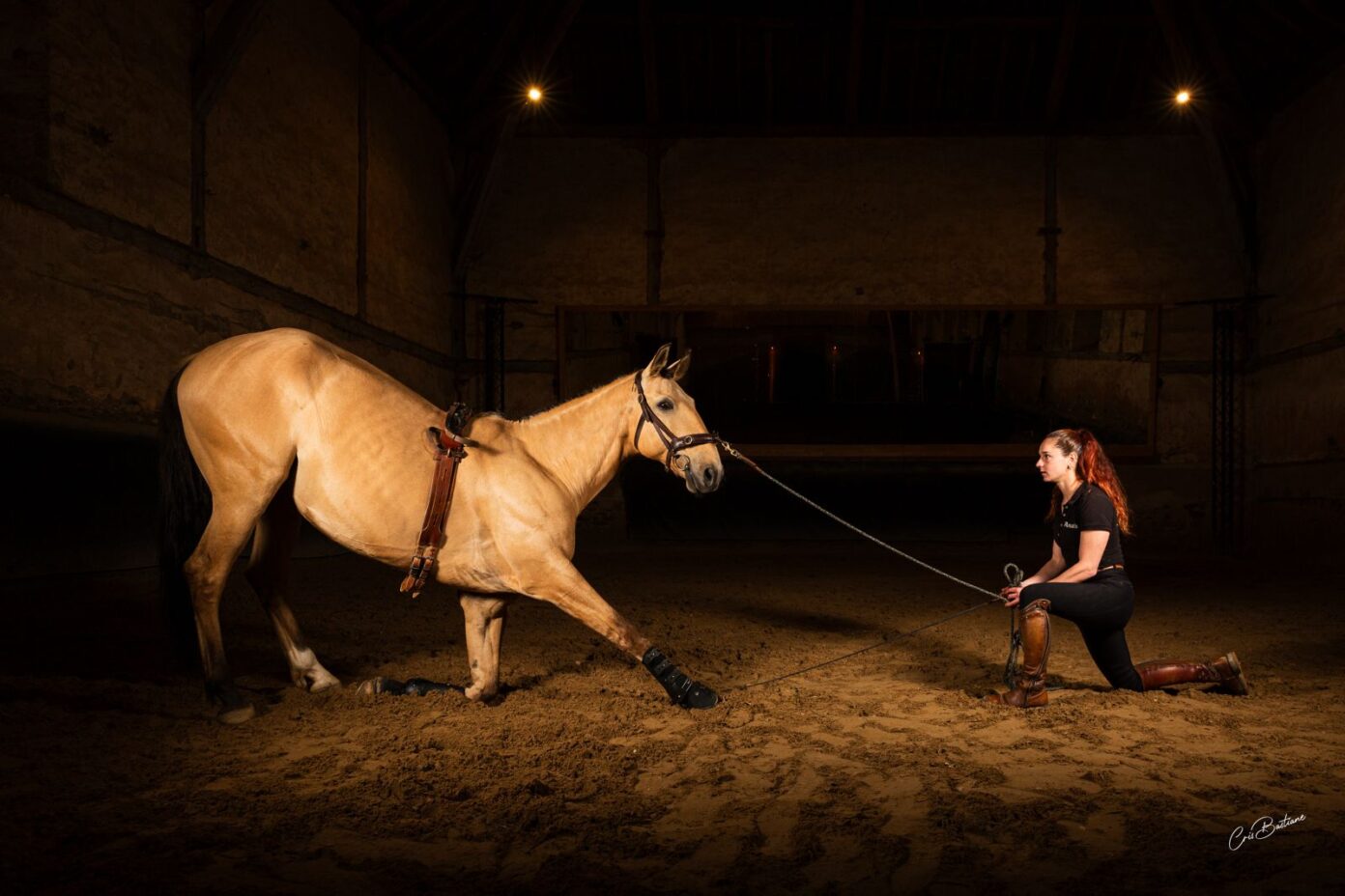 Rencontre avec un artiste équestre Manège de l&rsquo;Orangerie Arnac-Pompadour
