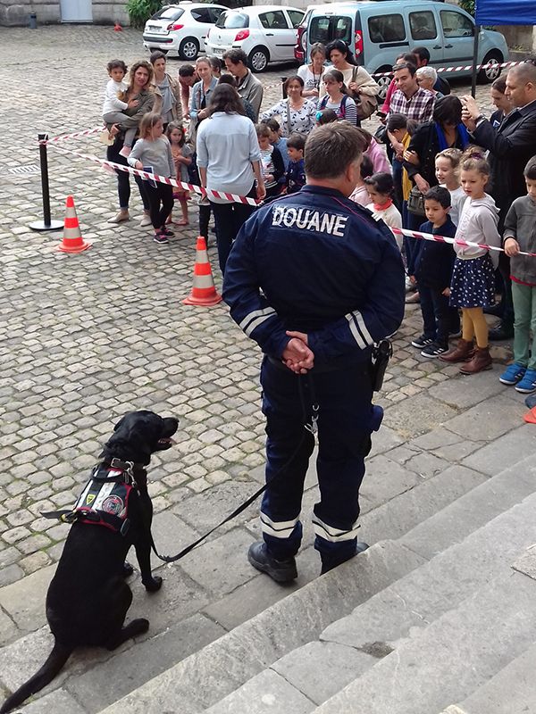 Rencontre avec une équipe maître de chien et découverte des métiers de la douane, Musée national des Douanes, Bordeaux