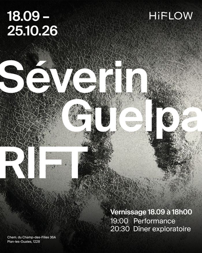 [RIFT] Exposition –  Solo Séverin Guelpa, Autre lieu, Genève