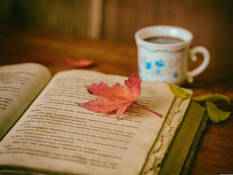 Salon du livre-Les mots en fête Salle des fêtes Senones