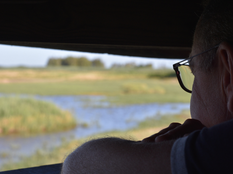 Samedi ornitho à Terres d’Oiseaux Terres d’Oiseaux Braud-et-Saint-Louis