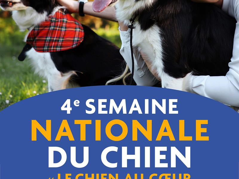 Semaine Nationale du Chien au Pays Thionvillois 31 Place Anne Grommerch Thionville 2026-09-26