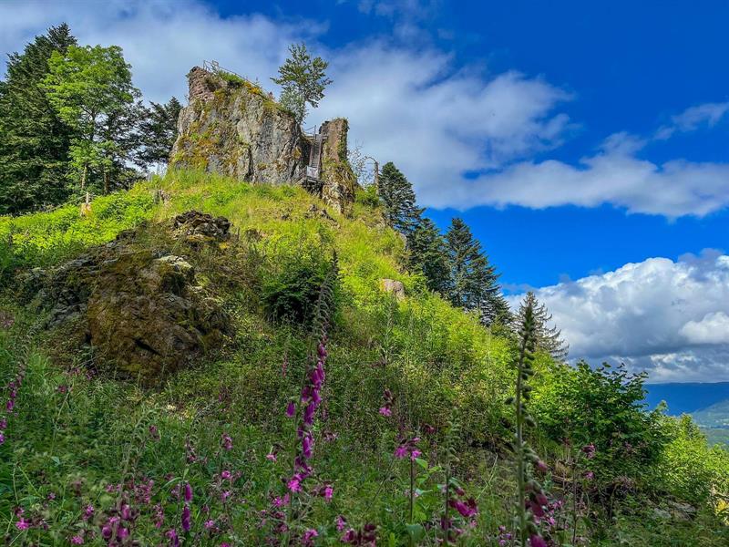 Sentiers Plaisir Le château de la Roche Bellefosse