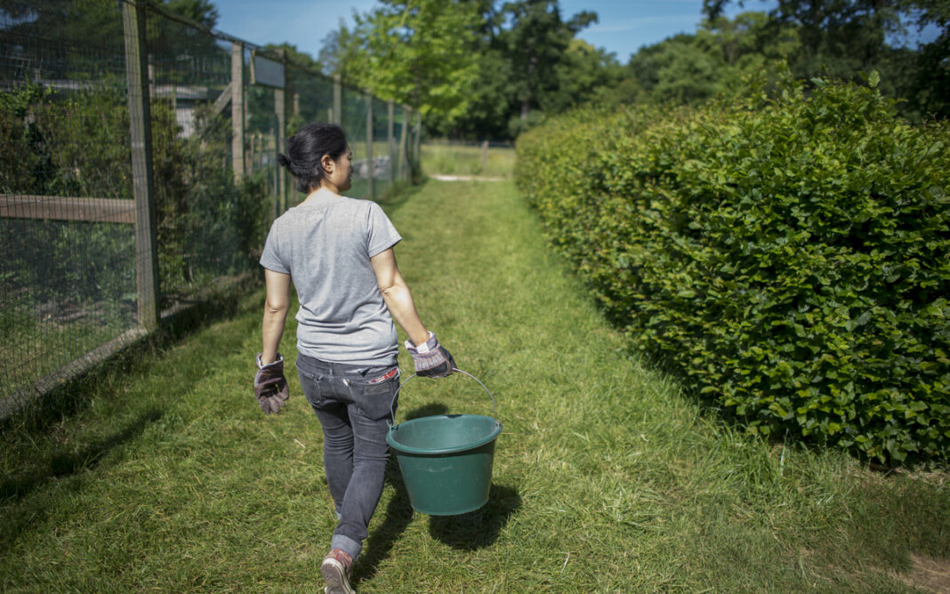 Soigneur d’un jour à la Ferme de Paris La Ferme de Paris PARIS