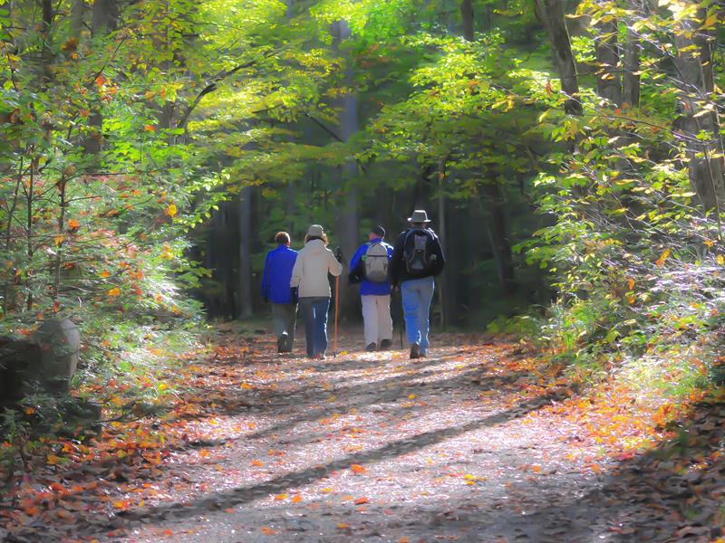 Sortie avec le Club Vosgien du Kochersberg Kuttolsheim, Stephansberg  Truchtersheim