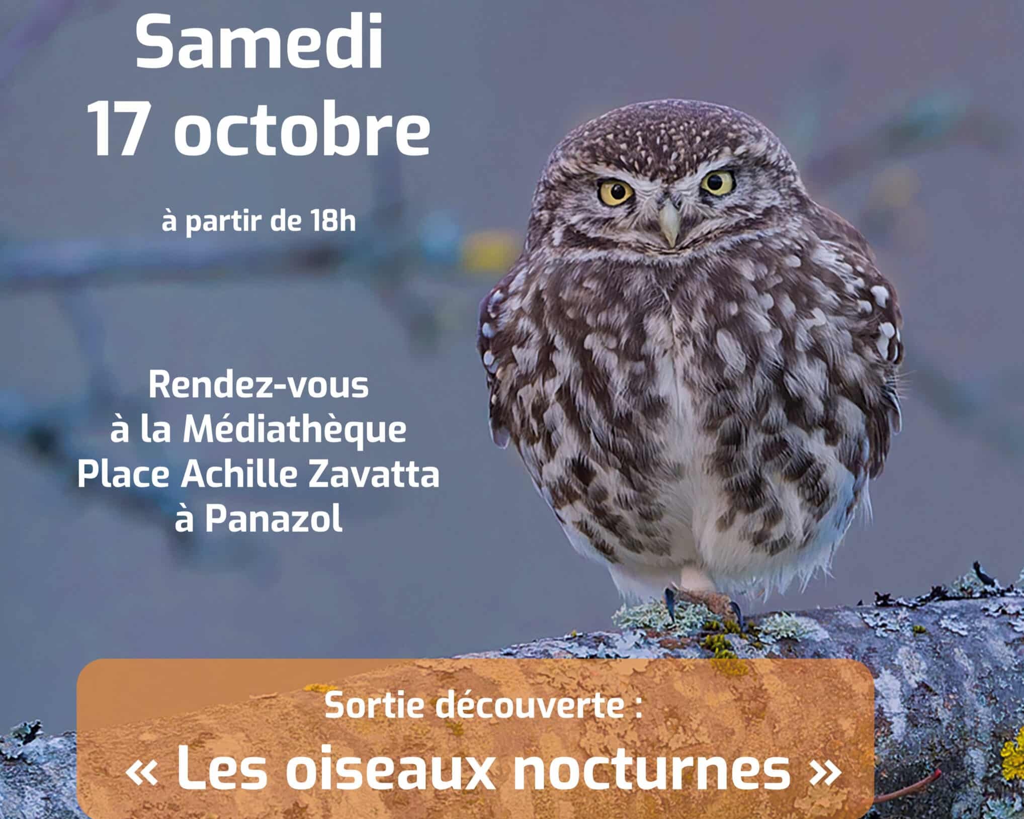 Sortie découverte Les Oiseaux nocturne Place Achille Zavatta Panazol 2026-10-17
