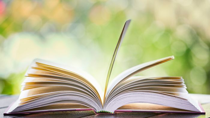 Sortie d’un nouveau roman, Bibliothèque, Euzet