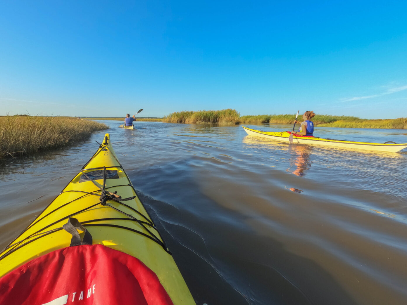 Sortie en kayak de mer Découverte du delta de l’Eyre et du Bassin d’Arcachon Maison de la nature Rue du port Le Teich