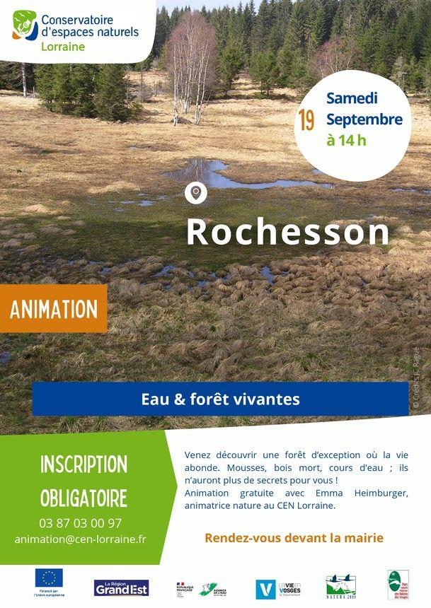 Sortie nature eau et forêt vivantes Grande Rue Rochesson