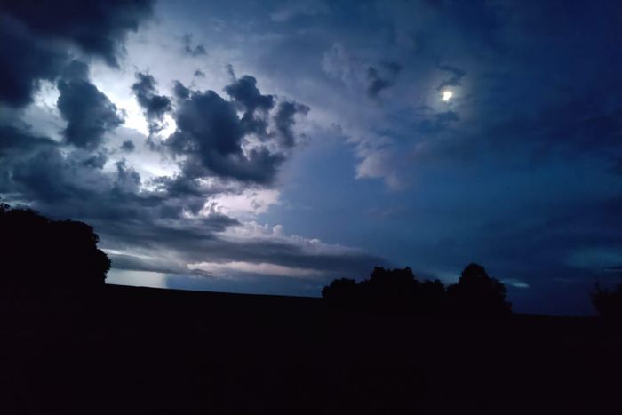 Sortie nocturne, Étangs de Longeau, 55210 Hannonville-sous-les-Côtes, France, Hannonville-sous-les-Côtes