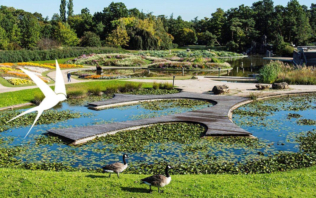 Sortie ornithologique au Parc Floral de Paris Maison Paris Nature Paris