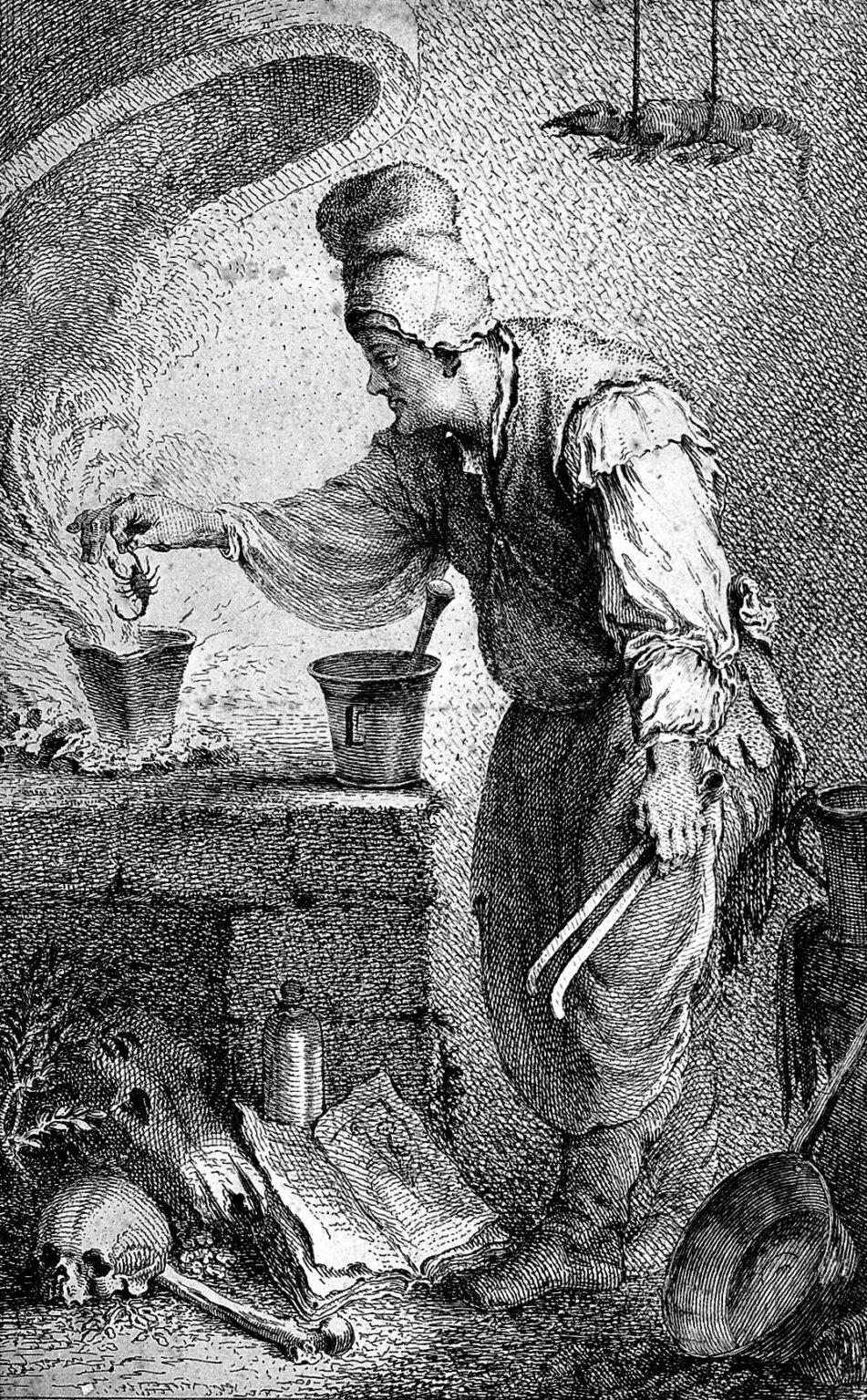 Sortilèges botaniques Au royaume des plantes mortelles  Orléans