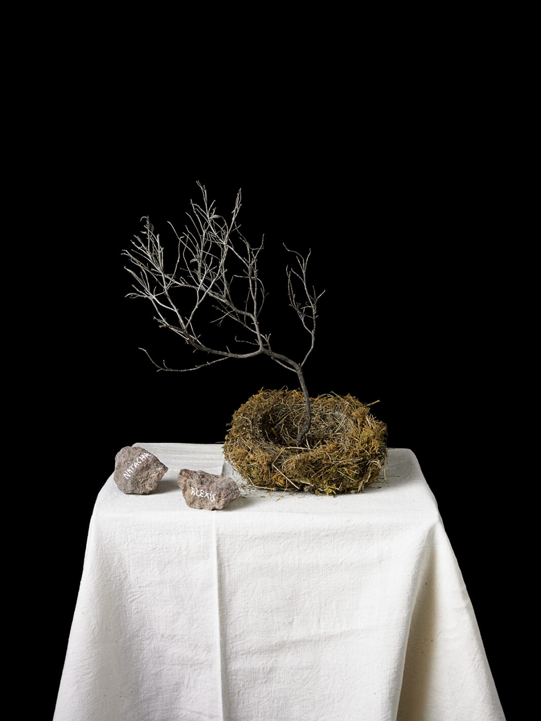 Sous les cendres de l’histoire Exposition et ouverture de l’atelier de Natacha Nikouline Sénaillac-Lauzès