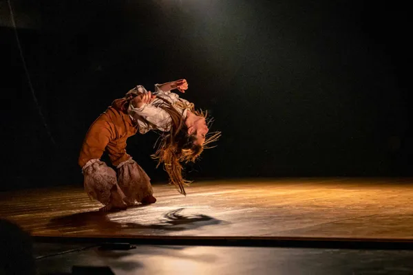 Spectacle Alexis 1 rue Saint-Cyrice Rodez 2026-11-17