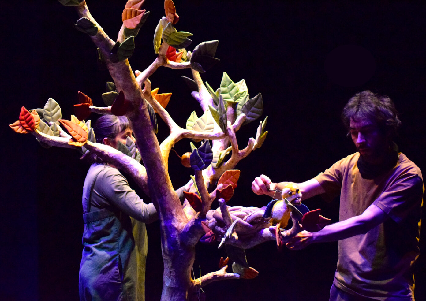 Spectacle Le Premier Envol Lussac-les-Châteaux