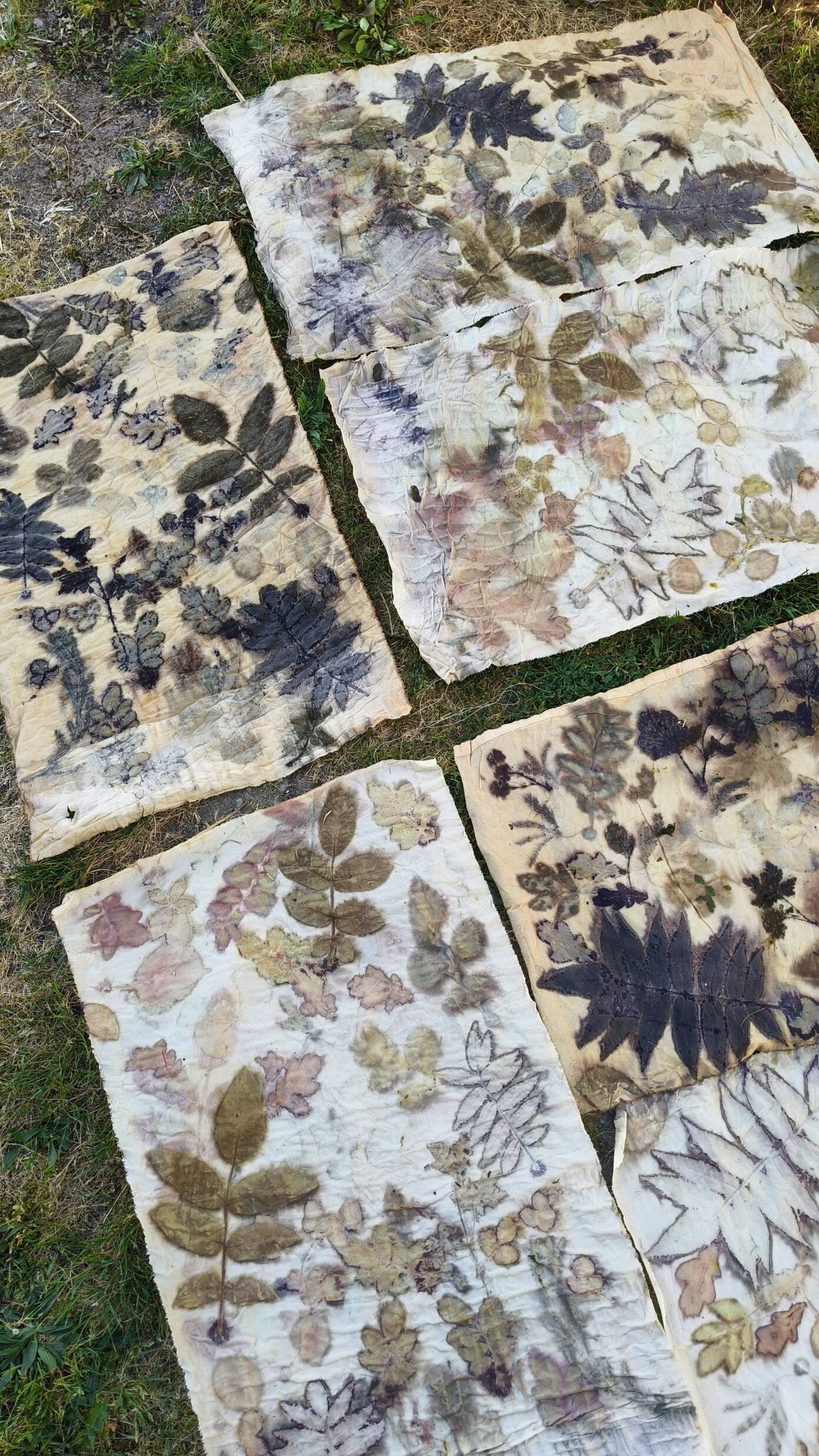 Stage impression végétale par cuisson vapeur ECOPRINT  Luchapt