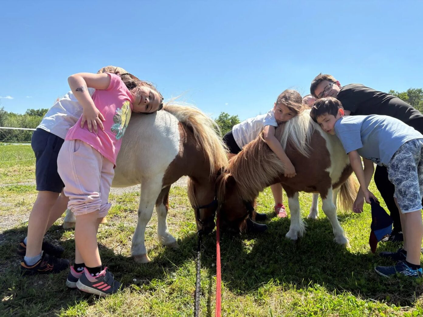 Stage Petit Fermier (à partir de 5 ans) Ensemble à la ferme Saint-Germain-de-la-Rivière