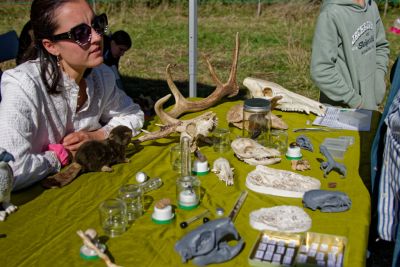 Sur la piste des animaux empreintes et compagnie  Lamotte-Beuvron