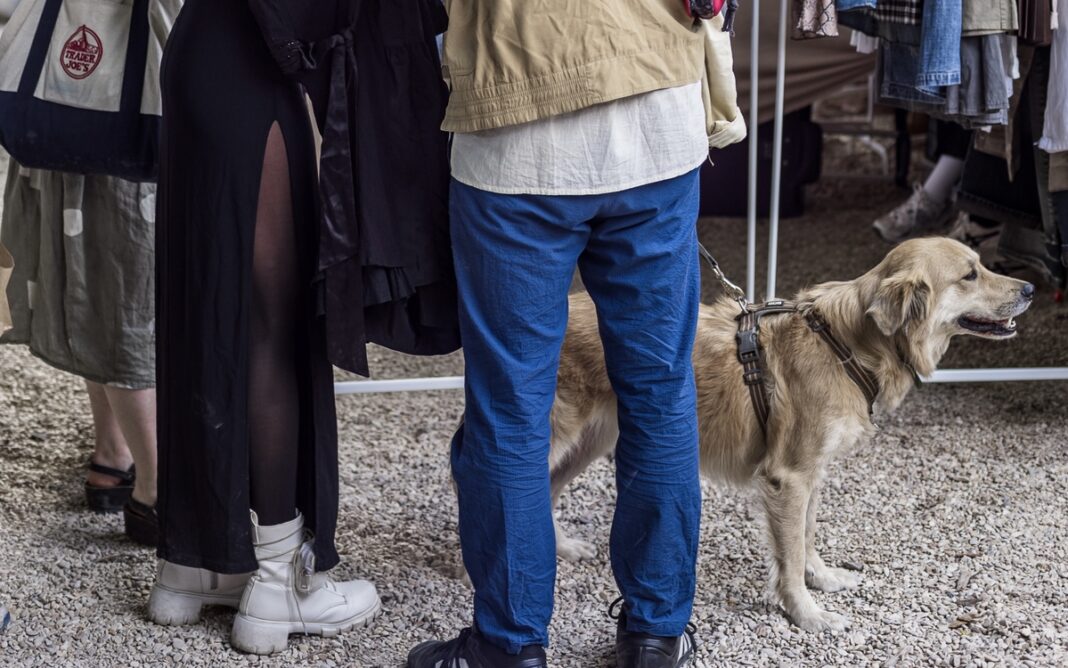 Terrain Vague : Dog Fest by Lump x Jardin21 ༯ Jardin21 Paris