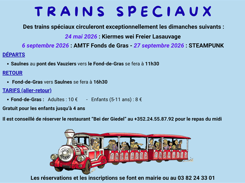 Train spécial pour la journée Convention Steampunk Gare des Vauziers Saulnes