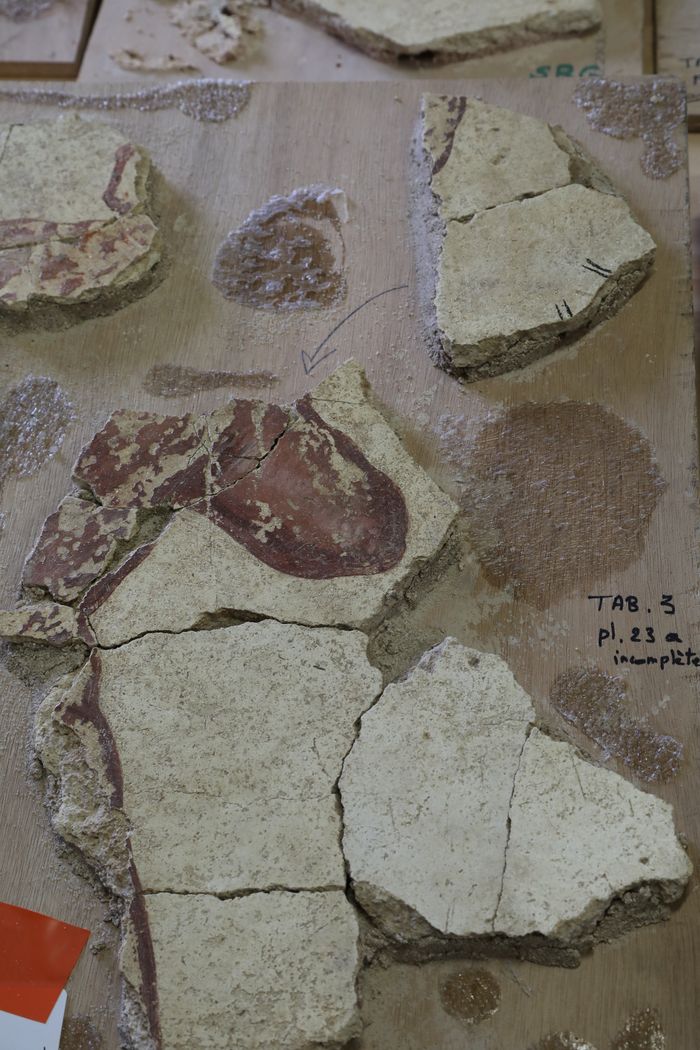 Un centre dédié aux décors romains, unique en Europe : Centre d’études des Peintures murales romaines, Abbaye de Saint-Jean-des-Vignes, Soissons