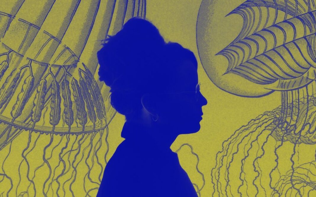 Une nuit, deux plongées : Anne Paceo en concert et l’exposition L’Appel des profondeurs à Paris ! Musée national de la Marine Paris