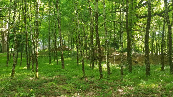 Une soirée à la Celle grandmontaine du Cluzeau à Meuzac, Commune Le Cluzeau, Meuzac