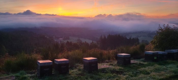 Verger du Forez – découverte de l&rsquo;abeille, Petites Cantines du Forez, Montbrison