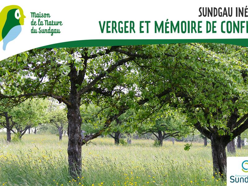 Verger et mémoire de conflit à Wittersdorf Wittersdorf