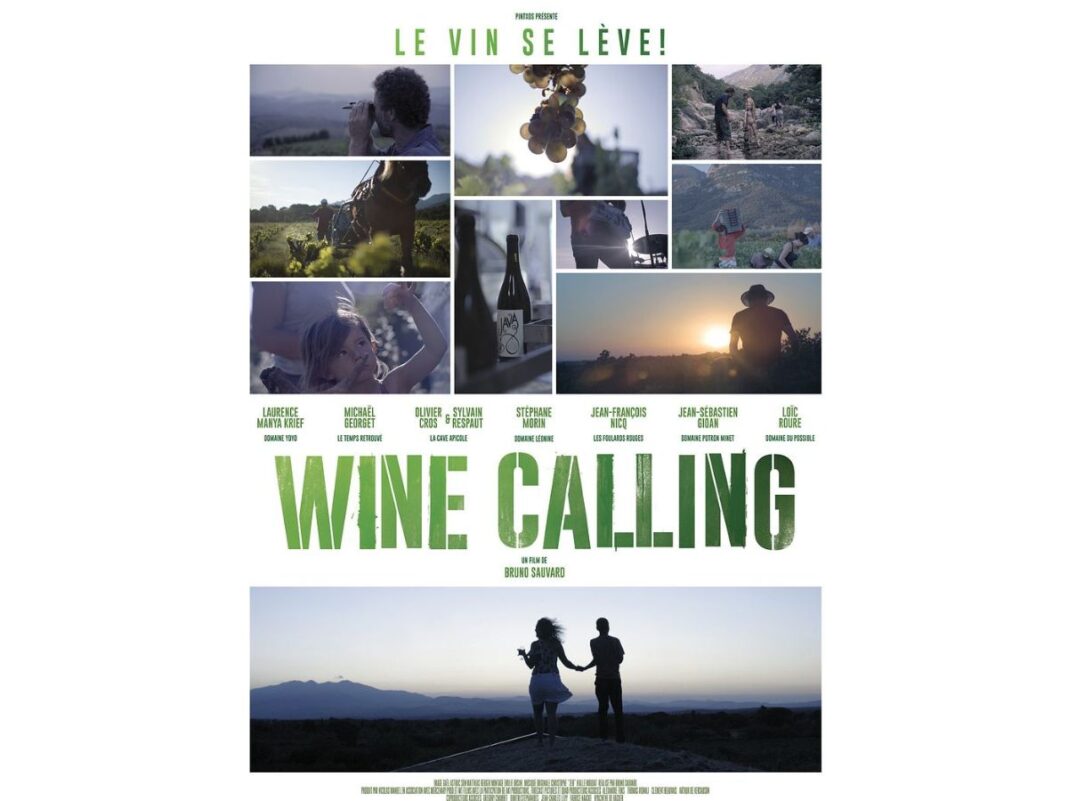 VES 2026 CINÉM&rsquo;AUDE VOUS INVITE À UNE SÉANCE IMMERSIVE SUR LE THÈME DU VIN !  Limoux