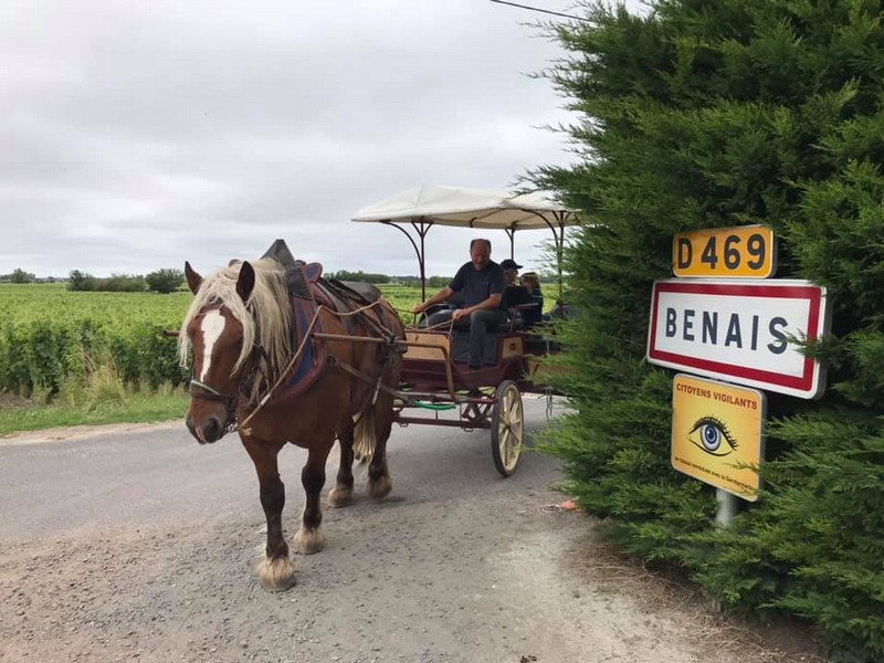 Vignobles en scène ! Balade en calèche  Benais